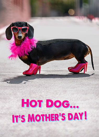 Wienerful Hot Dog Funny Mother's Day   A funny mother's day card of a dog dressed with a boa, high heels and sunglasses. | happy mother's day mom high heels boa sunglasses wienerful weiner wonderful every way Hope it's wienerful in every way!